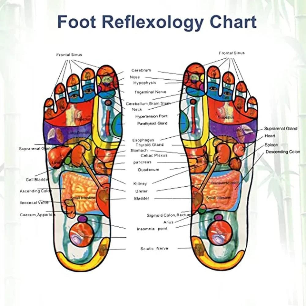 Aliver Natural Detox Foot Pads (Pack of 10)